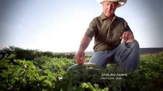 quotWere Localquot Harmons Full Length TV Commercial [upl. by Darce]