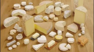 The Art of Raw Milk Cheese  A Journey [upl. by Sig]