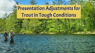 Presentation Adjustments for Trout in Tough Conditions [upl. by Hirz]