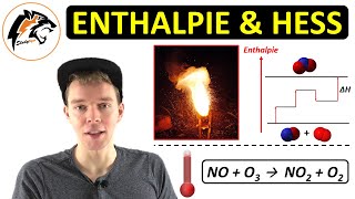 Enthalpie amp Satz von Hess  Übungen [upl. by Rhine]