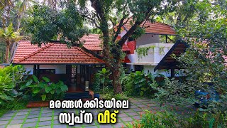 സ്വർഗ്ഗതുല്യം പച്ചപ്പ് മൂടിയ ഈ തനി മലയാളി വീട്  Traditional Style Kerala House [upl. by Retsam]