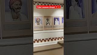 Bhopal tribal museum 🖼️  bhopal museum indore museum shorts viralvideo bhopal museum [upl. by Langan]