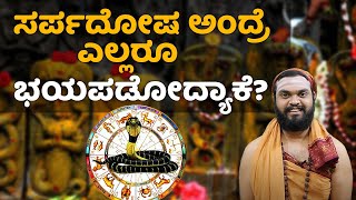 What is sarpa dosha  ಸರ್ಪಗಳನ್ನ ಸಾಯಿಸಿದರೆ ಕುಲನಾಶವಾಗುತ್ತಾ  Vijay Karnataka [upl. by Westney]