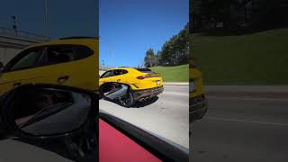 Lamborghini Urus Performante Exhaust Note shorts [upl. by Fanchette]