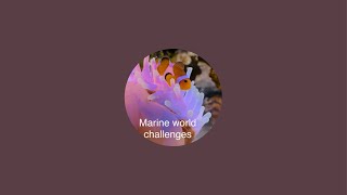 Marine world challenges🐳🪸 is live [upl. by Aztiray]