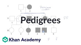 Pedigrees  Classical genetics  High school biology  Khan Academy [upl. by Chesney559]