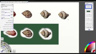 Clone Tool Tutorial for ArtRage 4 [upl. by Ezmeralda]