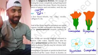 Morphology of flowering plants part 5Class 11Parts of flower  NEET AestivationPlacentation [upl. by Gall]
