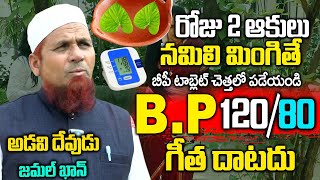 2 ఆకులు చాలు రెప్పపాటులో తగ్గి జన్మలో BP మీ గుమ్మం కూడా తొక్కలేదు  Blood Pressure  Dr Jamal Khan [upl. by Ariamat]