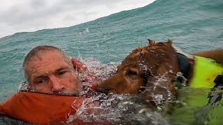 VIDEO US Coast Guard airlifts man dog to safety in daring rescue amid Hurricane Helene [upl. by Clovah]