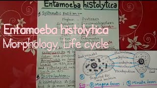 Entamoeba histolytica full notes explain in hindi  part 1 [upl. by Soren]