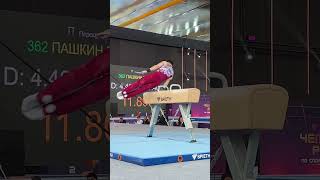 Nikita Nagornyy  Mastering the Pommel Horse [upl. by Nnomae]