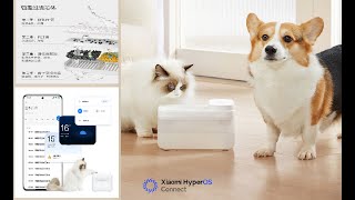 Xiaomi Wireless Smart Pet Water Dispenser [upl. by Lasyrc983]