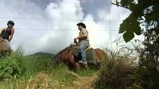 Savoie  Balade à cheval dans les vignes [upl. by Ahtnicaj]