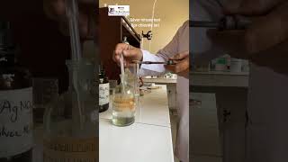 Silver nitrate chloride ion test with Practical Guru Monu Sharma [upl. by Shepperd]