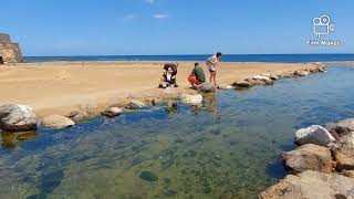 Fuerteventura Caleta de fuste beach walk [upl. by Trilby]