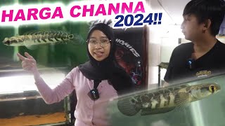 KLIK DISINI HARGA CHANNA 2024 Ombyok dan sortir single tank MahalMurah [upl. by Xever]