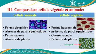 Comparaison entre Cellule Animale et Végétale  Cours 2ème Année Sciences SVT [upl. by Acinnad]