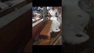 Sawing Lumber On bandsaw shortsvideo shorts youtubeshorts viralvideo [upl. by Yrebmik]