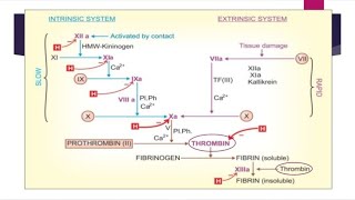 coagulants and anticoagulants Pharmacology [upl. by Aloysius]