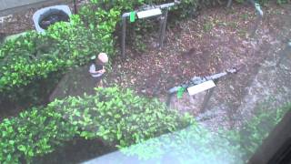 Kid throws a rock in a neighbors window and breaks it [upl. by Iormina]