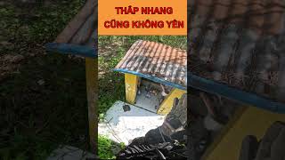 Thắp Nhang Cũng Không Yên  Xe Ôm Vlog shorts [upl. by Hoebart]