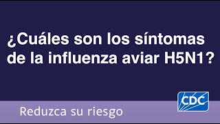 ¿Cuáles son los síntomas de la influenza aviar H5N1 [upl. by Ikaz]