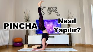 Pincha Mayurasana Nasıl Yapılır  Pincha Yoga Akışı [upl. by Carn]