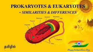 Prokaryotes and Eukaryotes  Similarities and Differences  Bacteria  Tamil [upl. by Bear]