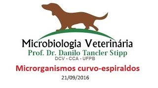 Micro Vet 20161 Aula 09  Microrganismos Curvoespiralados [upl. by Ialocin]