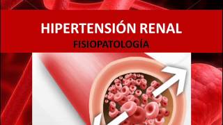 Hipertensión renal  Fisiopatología [upl. by Noiemad]