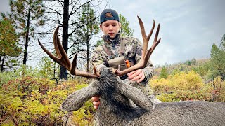 GIANT California Blacktail Down Public Land Deer Hunt [upl. by Eeclehc921]