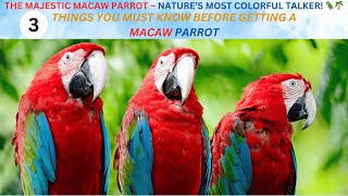 The Majestic Macaw Parrot – Nature’s Most Colorful Talker 🦜🌴 [upl. by Berwick652]