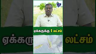 வருஷத்துக்கு ஏக்கருக்கு 1 லட்சம்  Elan Cheran  Aqua Farming fish prawn aquafarm shrimp [upl. by Goldwin]