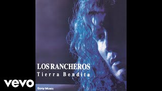 Los Rancheros  Casualidad Official Audio [upl. by Saville]