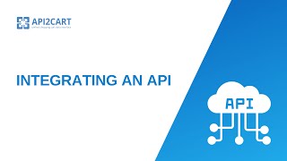 Integrating an API Simplifying the Process for Software Developers [upl. by Chas]