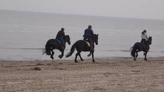 Friesen vom Frieslandstern am Strand von Schillig [upl. by Zetnom]