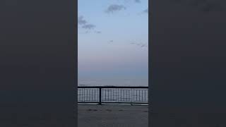 Sandpoint beach sandpoint sandpointbeach shorts viralvideos trendingshorts ytshorts beach [upl. by Kendra]