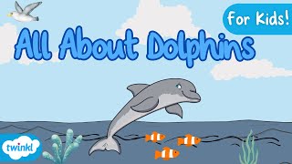 All About Dolphins for Kids  Dolphin Facts 🐬 [upl. by Cung]