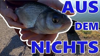 Was los Digga ALAND  CoronaSpezial  Song Fisch auf Pose 20 [upl. by Tawnya68]