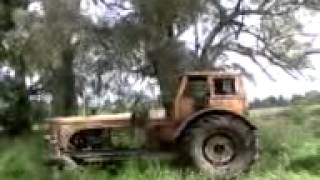 Tirando un arbol con un Tractor Hanomag 75 [upl. by Imojean]