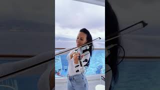 MY HEART WILL GO ON  TITANIC  Agnieszka Flis violin shorts violin [upl. by Ennayoj749]