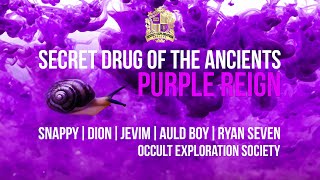 Mystery Murex Mollusc  Burning Purple  Occult Exploration Society  Ryan Seven [upl. by Lewls106]