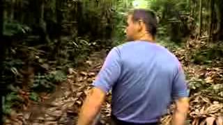 The Jeff Corwin Experience Guyana Land Of the Giants Part 1 Low [upl. by Chadd594]