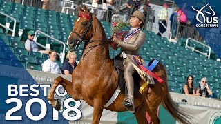 Best of 2018 Saddle Seat World Cup [upl. by Etakyram]