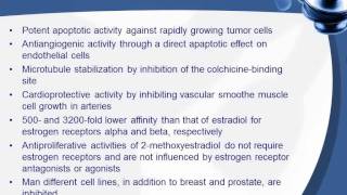 Hormones and The Basics of 24 Hour Urine Analysis [upl. by Rodi]