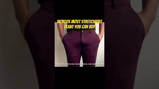 World’s Most Stretchable Slim Fit Pants  Unbelievable Flexibility amp Comfort [upl. by Sanders]