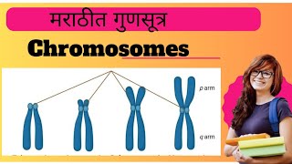 Chromosomes Explained l Biology l [upl. by Kelly]