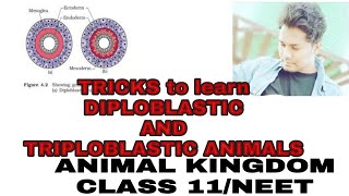 TRICKS to learn DIPLOBLASTIC and TRIPLOBLASTIC ANIMALSANIMAL KINGDOMCLASS 11NEET [upl. by Collbaith657]