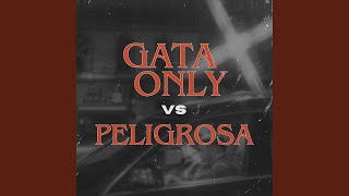 Gata Only Vs Peligrosa [upl. by Kappel]